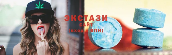 соль ск Ельня