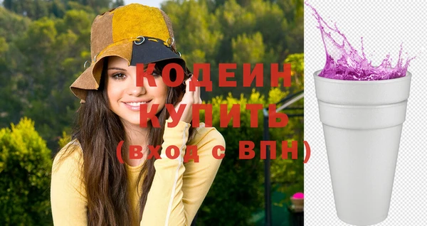 соль ск Ельня