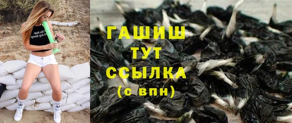 соль ск Ельня