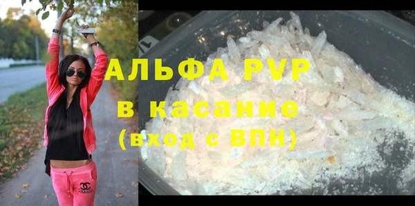 соль ск Ельня