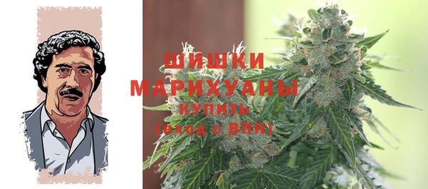 соль ск Ельня