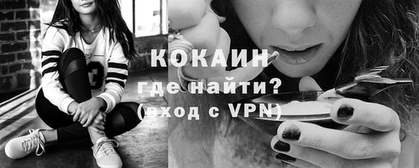 соль ск Ельня