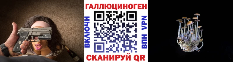 Купить где  Гаврилов Посад  Псилоцибиновые грибы MAGIC MUSHROOMS 